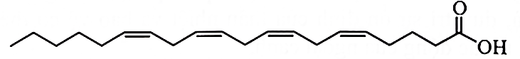 Tổng số các nguyên tử trong một phân tử arachidonic acid là bao nhiêu? (ảnh 1)