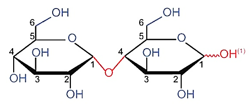 Nhận định nào sau đây là đúng khi nói về (X)? (ảnh 1)