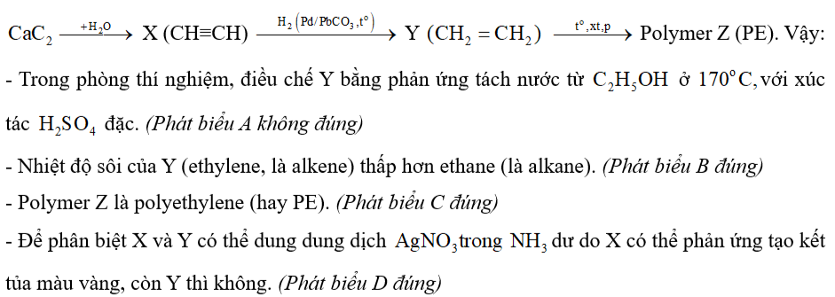 Trong các phát biểu sau, phát biểu nào không đúng? (ảnh 1)