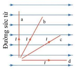 Lực từ tác dụng lên đoạn dây dẫn nào là mạnh nhất? (ảnh 1)