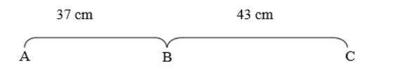 Đoạn thẳng AC dài là: (ảnh 1)