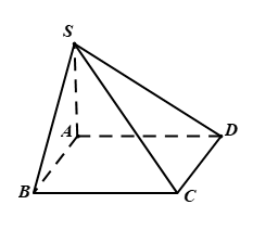 Cho hình chóp \(S.ABCD\) có đáy \(ABCD\) là hình chữ nhật, \(SA \bot \left( {ABCD} \right)\).  (ảnh 1)