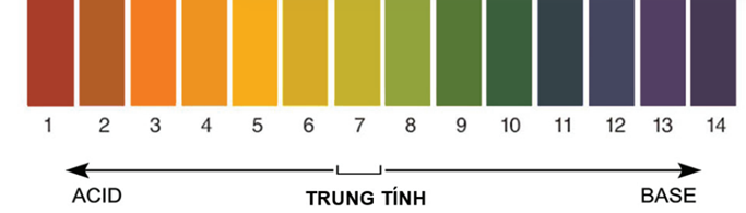 Thang pH được dùng để: (ảnh 1)