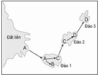 Hình bên mô tả các đảo đại dương xuất hiện gần như cùng một thời điểm. Các chữ cái A, B, C, D là tên các loài được hình thành bằng con đường cách li địa lí; các mũi tên chỉ hướng di cư hoặc hướng hình thành loài từ loài này sang loài kia. Mỗi phát biểu sau đây là đúng hay sai? (ảnh 1)