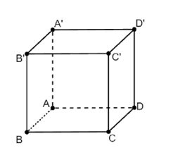 Cho hình lập phương \[ABCD.A'B'C'D'\]. Vectơ có điểm đầu và điểm cuối là các đỉnh của hình lập phương (ảnh 1)