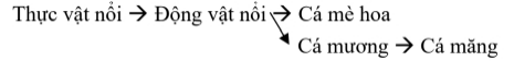 Giả sử trong ao nuôi trên, cá mè hoa là đối tượng chính tạo nên sản phẩm kinh tế, cá mương và cá măng là các loài tự nhiên. Mỗi phát biểu sau là đúng hay sai? (ảnh 1)