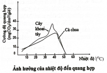 Hình dưới đây thể hiện sơ đồ ảnh hưởng của nhiệt độ đến quang hợp ở cây khoai tây và cây cà chua. Dựa vào hình ảnh xác định mỗi nhận định sau đây đúng hay sai? (ảnh 1)