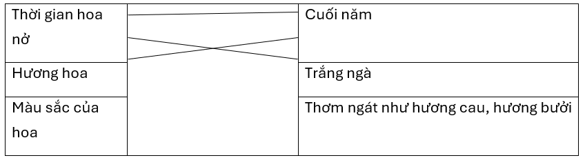 Nối để thấy được đặc điểm của hoa sầu riêng.Hoa sầu riêng trổ vào cuối năm. Gió đưa hương thơm ngát như hương cau, hương bưởi toả khắp khu vườn. Hoa đậu từng chùm, màu trắng ngà. Cánh hoa nhỏ (ảnh 1)