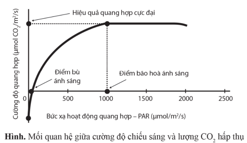 Quan sát hình sau, kết hợp với kiến thức đã học và cho biết mỗi phát biểu sau đây là đúng hay sai? (ảnh 1)