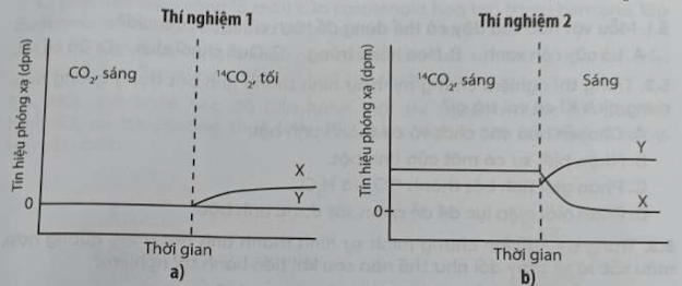 Cho biết tên của chất X và chất Y trong thí nghiệm trên. (ảnh 1)