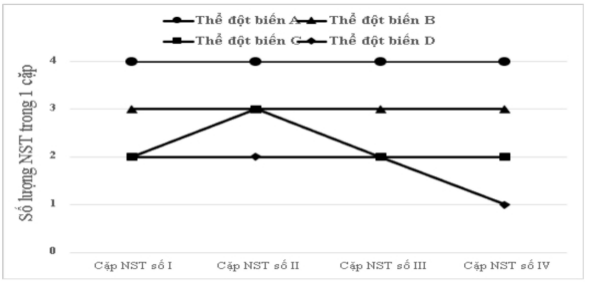  Một loài vi sinh vật có bộ NST lưỡng bội 2n = 8. Khi phân tích bộ NST của 4 thể đột biến (A, B, C và D) người ta thu được kết quả như biểu đồ bên. Theo lí thuyết, mỗi phát biểu sau đây đúng hay sai? (ảnh 1)