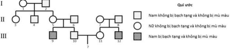 Biết rằng không phát sinh các đột biến mới ở tất cả các cá thể trong phả hệ. Cặp vợ chồng (III-10) - (III-11) trong phả hệ này sinh con, xác xuất đứa con gái của họ sẽ không mang allele gây bệnh là bao nhiêu? (ảnh 1)