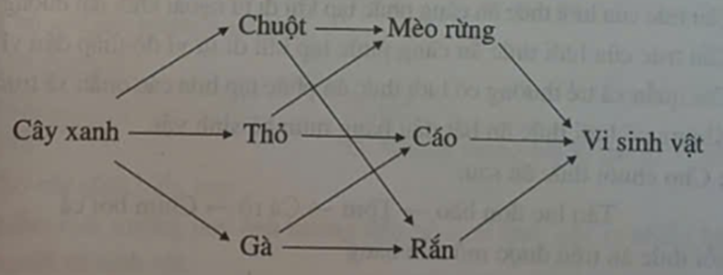 Dựa vào lưới thức ăn, em hãy viết 3 chuỗi thức ăn có các sinh vật nằm trong lưới thức ăn. (ảnh 1)