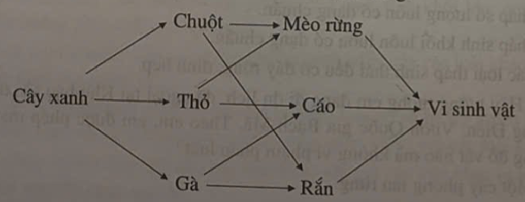 Dựa vào chuỗi thức ăn bên dưới, em hãy trả lời các câu hỏi sau:  (ảnh 1)