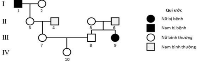 Biết rằng không xảy ra đột biến mới và người đàn ông (II-4) đến từ một quần thể khác đang ở trạng thái cân bằng di truyền có tần số allele gây bệnh là 0,2. Xác suất để (IV-10) không mang allele gây bệnh là bao nhiêu? (ảnh 1)