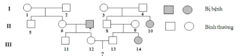  Sơ đồ phả hệ sau đây mô tả một bệnh di truyền ở người do một allele lặn nằm trên NST thường quy định, allele trội tương ứng quy định không bị bệnh. Biết rằng không có các đột biến mới phát sinh ở tất cả các cá thể trong phả hệ. Xác suất sinh con đầu lòng không bị bệnh của cặp vợ chồng (III-12), (III-13) trong phả hệ này là bao nhiêu? (ảnh 1)