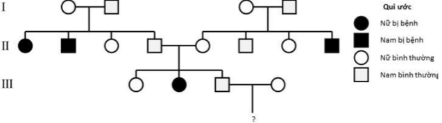 Sơ đồ phả hệ trên mô tả sự di truyền của một bệnh ở người do một trong hai allele của một gene quy định. Biết rằng không xảy ra đột biến ở tất cả các cá thể trong phả hệ, người mẹ ở thế hệ thứ 3 có xác suất về kiểu gene ngang nhau. Xác suất để cặp vợ chồng ở thế hệ III trong phả hệ này sinh đứa con gái bình thường là bao nhiêu? (ảnh 1)