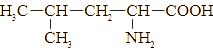 Leucine là một amino acid thiết yếu (tức là cơ thể người không (ảnh 1)