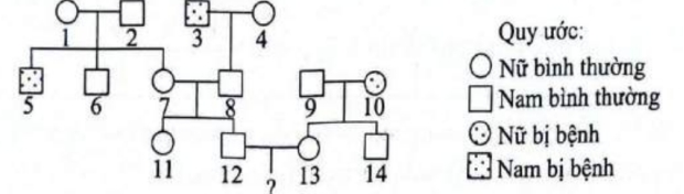  Cho sơ đồ phả hệ mô tả sự di truyền một bệnh ở người do một trong hai allele của một gene quy định, allele trội là trội hoàn toàn. Biết rằng không xảy ra đột biến. Có thể xác định được kiểu gene của bao nhiêu người trong phả hệ? (ảnh 1)
