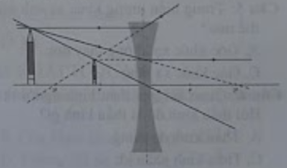 Quan sát ảnh sau cho biết dụng cụ quang học gì? (ảnh 1)
