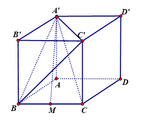 Cho hình lập phương \(ABCD.A'B'C'D'\) có cạnh bằng \(a\). Đặt \(\overrightarrow {AB} (ảnh 1)