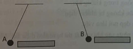 Đưa một thanh nhựa lại gần hai quả cầu bấc A và B thì thu được kết quả như hình vẽ. (ảnh 1)