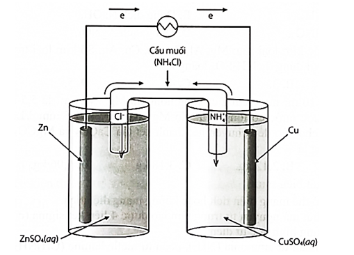 Cho cấu tạo của pin Galvani Zn - Cu như sau:  a). Thanh kẽm (Zn) là cực âm (anode) và thanh đồng (Cu) là cực dương (cathode). (ảnh 1)