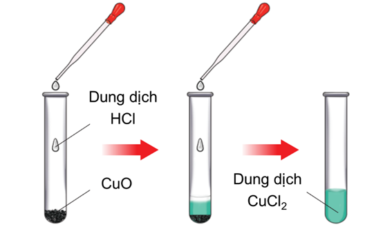 Hãy nêu hiện tượng và viết phương trình hoá học phản ứng xảy ra ở thí nghiệm Coppe (ảnh 1)