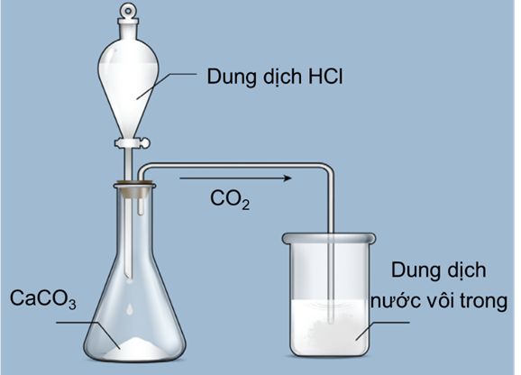  a) Quan sát thí nghiệm carbon dioxide phản ứng với dung dịch calcium hydroxide, (ảnh 1)