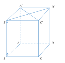 Cho hình  hộp chữ nhật \(ABCD.A'B'C'D'\). Đường vuông góc chung của hai đường thẳng chéo nhau \(AB\) và \(B'C'\) là (ảnh 1)