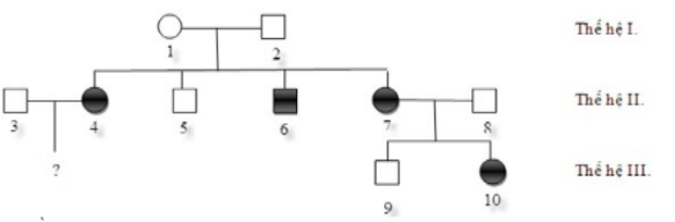 Một quần thể người đang ở trạng thái cân bằng di truyền, tần số người bị mắc một bệnh di truyền đơn gene là 9%. Phả hệ dưới đây cho thấy một số thành viên (màu đen) bị một bệnh này. Kiểu hình của người có đánh dấu ? là chưa biết. (ảnh 1)
