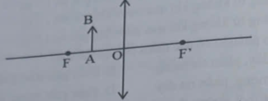 Vẽ ảnh (ảnh 1)