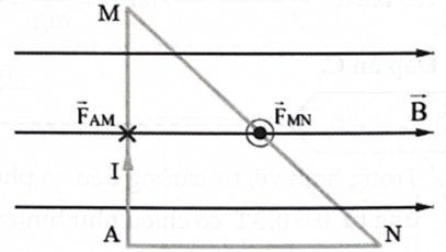 Một đoạn dây được uốn gập thành khung dây có dạng tam giác AMN vuông góc tại A. Đặt khung dây vào một từ trường đều có các vectơ cảm ứng từ nằm trong mặt phẳng ngang, có chiều từ trái qua phải như hình vẽ. Coi khung dây nằm cố định trong mặt phẳng hình vẽ và AM = 8 cm, AN = 6 cm, B = 3.10-3T, I = 5 A. Lực từ tác dụng lên cạnh MN có đặc điểm như thế nào? (ảnh 2)