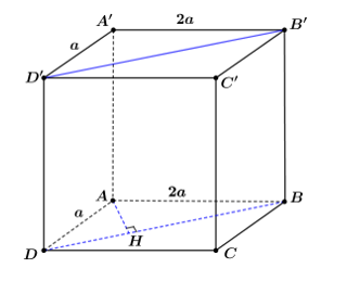 Cho hình hộp chữ nhật \(ABCD.A'B'C'D'\) có \(AA' = 2a\), \(A'B' = 2a\), \(A'D' = a\). Khoảng cách từ đường  (ảnh 1)