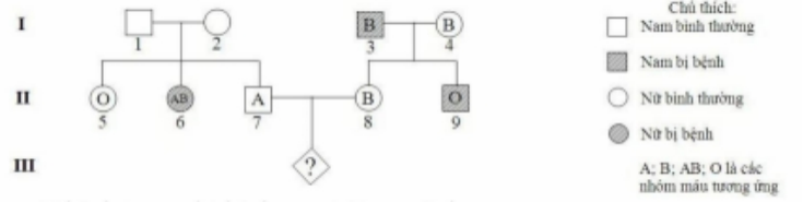 Sự di truyền một bệnh ở người do 1 trong 2 allele quy định và được thể hiện qua sơ đồ phả hệ dưới đây. Các chữ cái cho biết các nhóm máu tương ứng của mỗi người. Biết rằng sự di truyền bệnh trên độc lập với di truyền các nhóm máu, quá trình giảm phân bình thường và không có đột biến xảy ra. (ảnh 1)