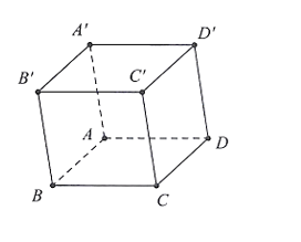 Cho hình hộp \(ABCD.A'B'C'D'\). Mệnh đề nào sau đây đúng? (ảnh 1)