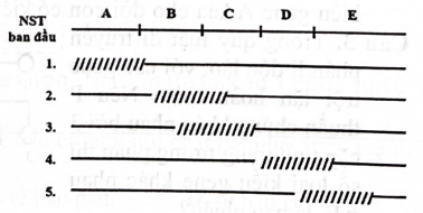 Các trình tự một operon ở vi khuẩn E. coli nằm trong đoạn NST được kí hiệu ban đầu từ A đến E. Để xác định các trình tự của operon này, người ta sử dụng 5 trường hợp đột biến mất đoạn như hình bên (các đường gạch chéo biểu hiện đoạn bị mất). Kết quả thu được trường hợp 4 và 5 có các gene cấu trúc luôn được phiên mã; trường hợp 2 và 3 có các gene cấu trúc luôn không được phiên mã; trường hợp 1 chưa xác định được mức biểu hiện của các gene cấu trúc trong operon. Trong các phát biểu sau, các phát biểu về trình tự operon trên đúng hay sai? (ảnh 1)