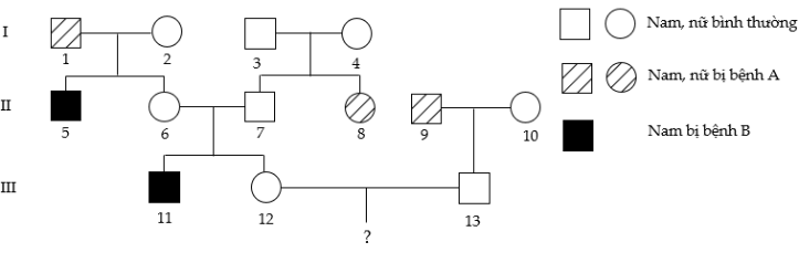  Phả hệ sau đây mô tả sự di truyền bệnh A và bệnh B. Biết rằng: mỗi bệnh đều do 1 trong 2 alen của 1 gen quy định; các gen phân li độc lập; alen trội là trội hoàn toàn; người I.1 không mang alen gây bệnh B. (ảnh 1)