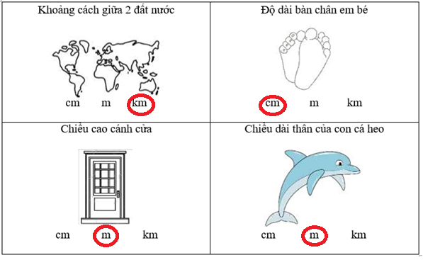 Khoanh vào đơn vị phù hợp với tranh vẽ và thông tin: (ảnh 2)