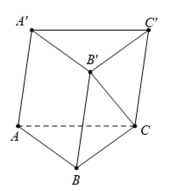 Cho hình lăng trụ \(ABC.A'B'C'.\) Đặt \(\vec a = \overrightarrow {AA'} ,\vec b = \overrightarrow {AB} (ảnh 1)