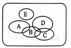 Ổ sinh thái dinh dưỡng của năm quần thể A, B, C, D, E thuộc năm loài thú sống trong cùng một môi trường và thuộc cùng một bậc dinh dưỡng được kí hiệu bằng các vòng tròn ở hình bên. Phân tích hình này, phát biểu nào sau đây đúng?  (ảnh 1)