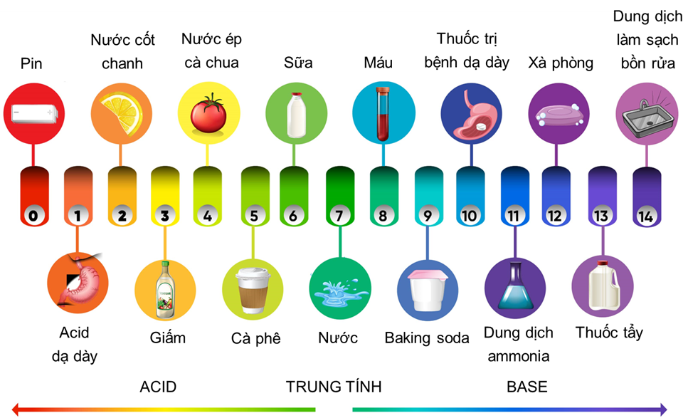  Hình vẽ sau đây giới thiệu các giá trị pH của một số sản phẩm hàng ngày: (ảnh 1)