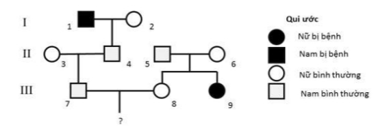 Biết rằng (II-3) không mang gene bệnh. Xác suất để (III-7) và (III-8) sinh con bị bệnh là bao nhiêu? (ảnh 1)