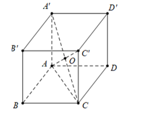 Cho hình lập phương \(ABCD.A'B'C'D'\). Gọi \(O\) là tâm của hình lập phương. Khẳng định nào dưới đây là đúng? (ảnh 1)