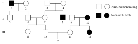  Phả hệ dưới đây mô tả sự di truyền của bệnh bạch tạng, do một trong hai allele của một gene nằm trên NST thường quy định. Cho rằng không phát sinh đột biến mới trong phả hệ.  Có thể xác định được kiểu gene bao nhiêu người trong phả hệ trên? (ảnh 1)