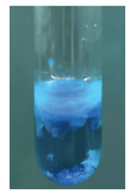 Cho dung dịch copper(II) sulfate phản ứng với dung dịch sodium hydroxide (ảnh 1)