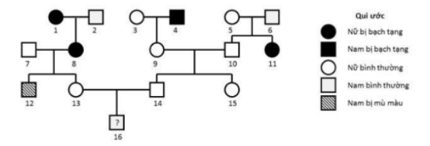 Biết rằng không có đột biến mới phát sinh ở tất cả các cá thể trong phả hệ. Cặp vợ chồng (III-13) - (III-14) trong phả hệ sinh một đứa con trai (IV-16). Xác suất để đứa con này chỉ mắc một trong hai bệnh này là bao nhiêu? (ảnh 1)