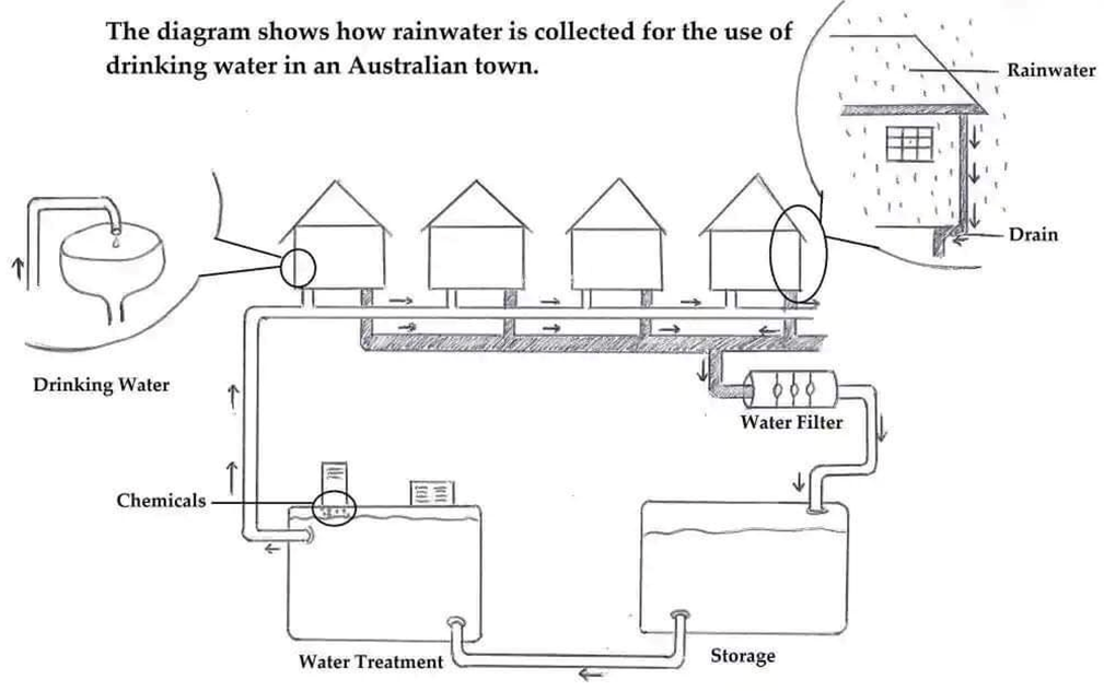 The diagram shows how rainwater is collected for the use of drinking water in an Australian town. Summarise the information by selecting and reporting the main features of the graph and make comparisons where relevant. Write at least 150 words. (ảnh 1)