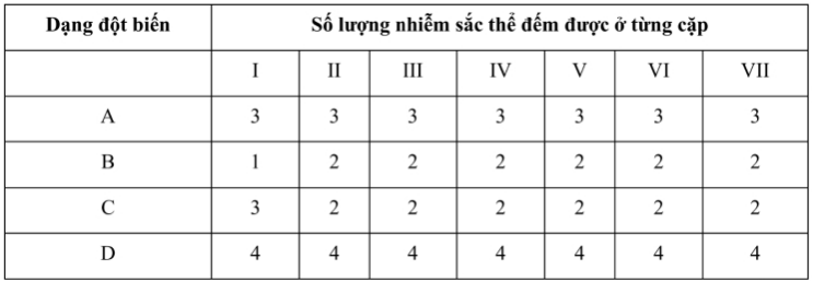 Một loài thực vật có bộ nhiễm sắc thể 2n = 14, gồm 7 cặp (kí hiệu I ⟶ VII), trên mỗi cặp nhiễm sắc thể xét một cặp gene có 2 allele. Biết mỗi gene quy định một tính trạng, tính trạng trội là trội hoàn toàn. Giả sử người ta phát hiện loài này đã tạo ra 4 thể đột biến (kí hiệu A, B, C, D). Phân tích bộ NST của các dạng đột biến thu được kết quả sau: (ảnh 1)