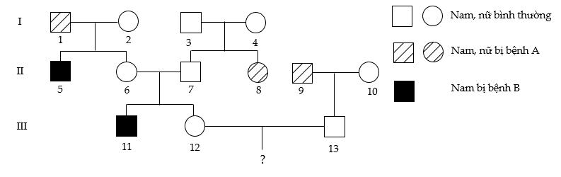 Theo lí thuyết, xác suất sinh con đầu lòng là con trai không bị bệnh A và không bị bệnh B của cặp vợ chồng III.12 và III.13 là bao nhiêu? (ảnh 1)